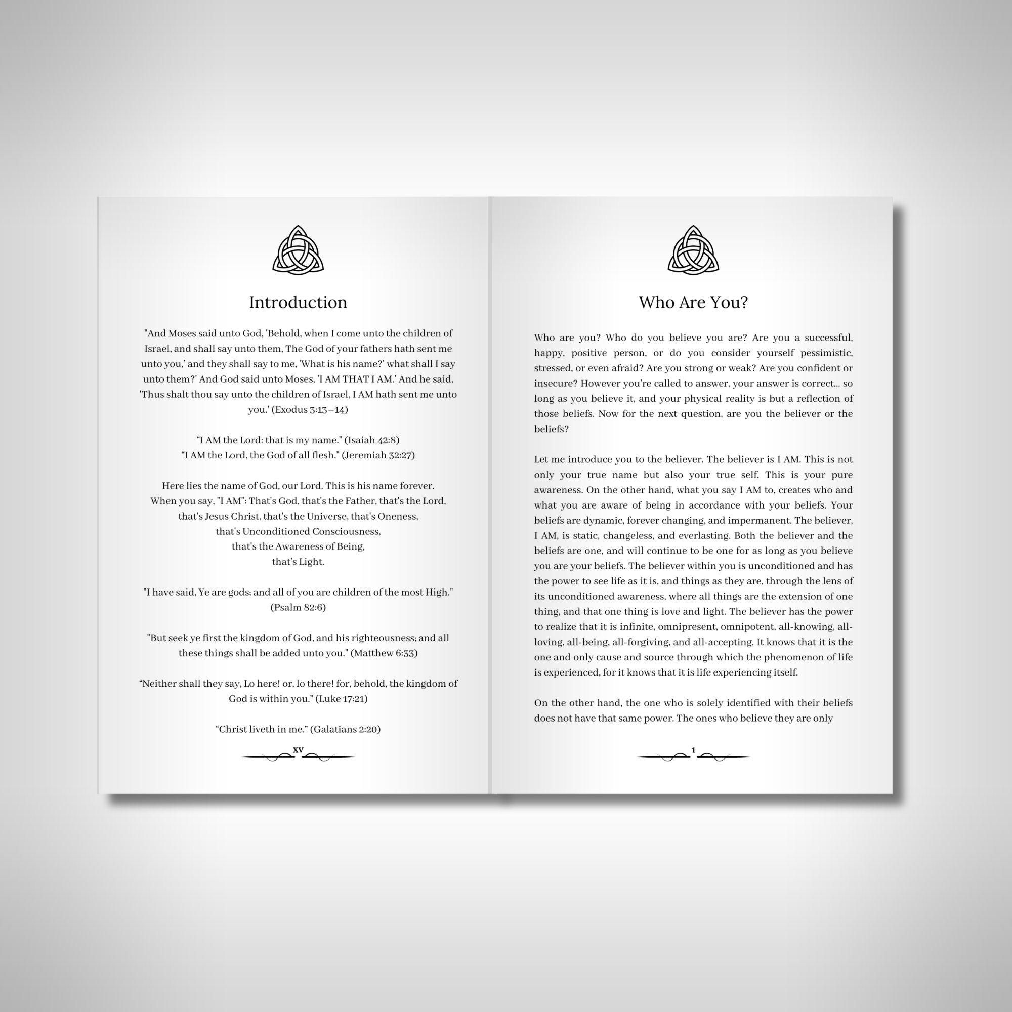 Project 369 - The Key to the Universe: Scripture Edition