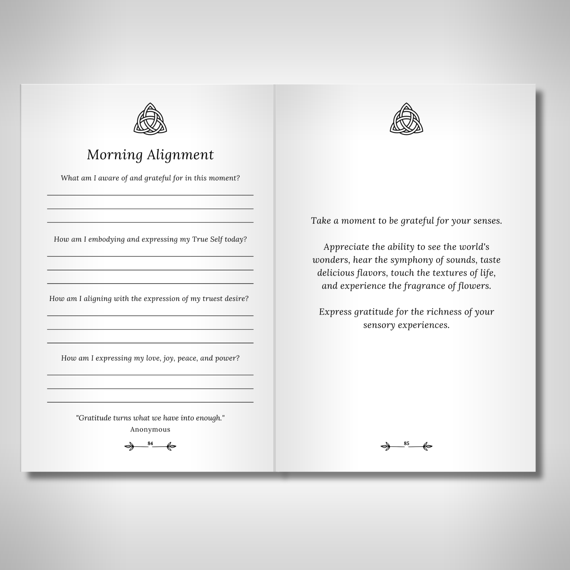 Project 369 - The Key to Enlightenment: Bliss Consciousness